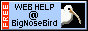 FREE webmaster help at bignosebird.com